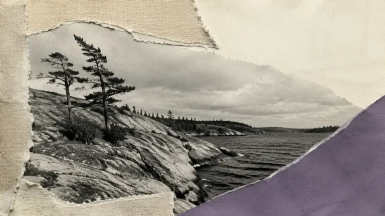 'A Distinct Canadian Character': The 1920s Paintings That Changed How the World Saw Canada